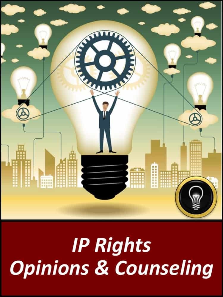 IP Rights Opinions & Counseling