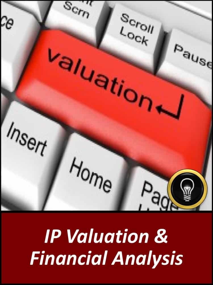 IP Valuation & Financial Analysis